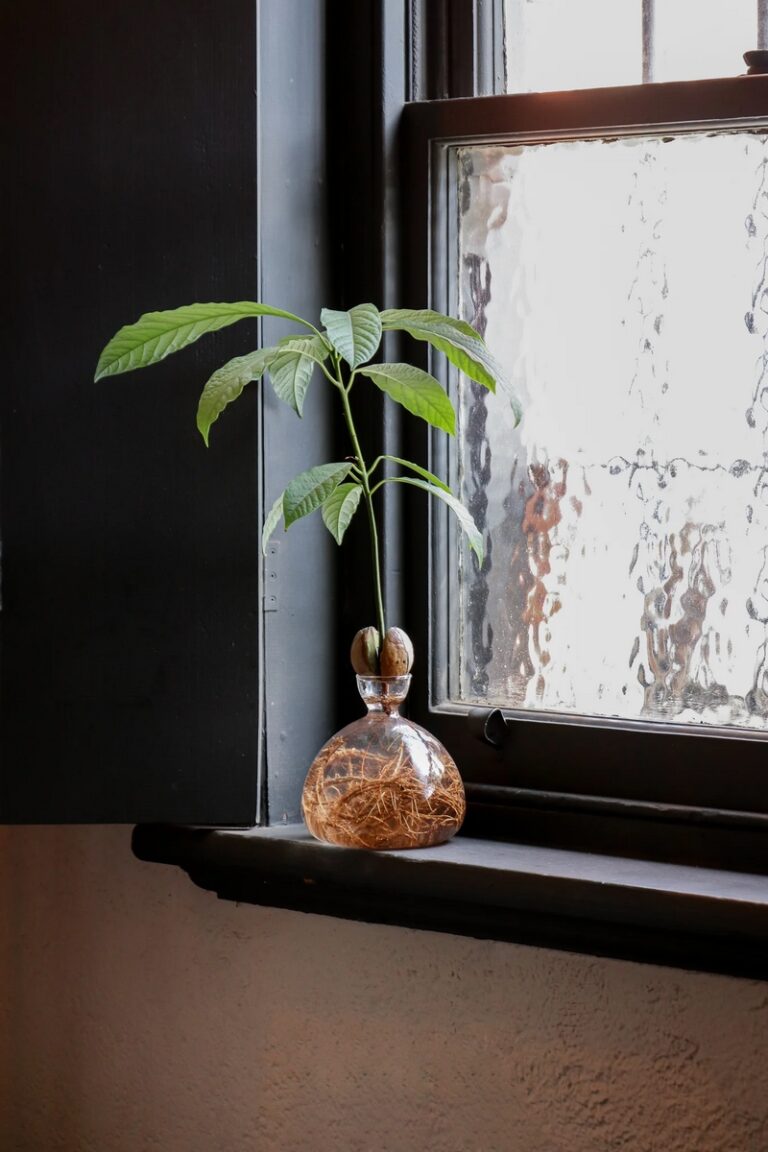 100 Feuilles De Papier à Germination – Pour Micro-verts, Sans Terre, Facile à Utiliser – Favorise La Croissance Des Graines En Intérieur