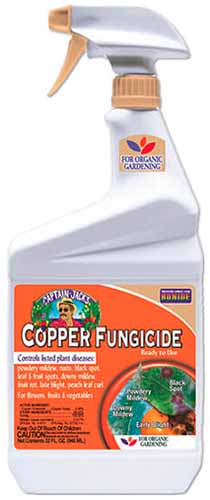 Gros plan d'un flacon pulvérisateur de fongicide au cuivre Bonide isolé sur fond blanc.