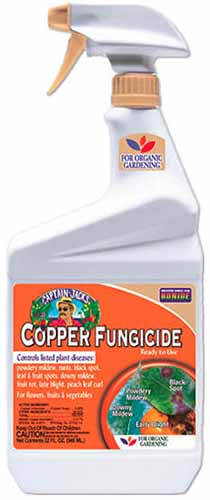 Gros plan d'une bouteille de fongicide au cuivre Bonide isolée sur fond blanc.