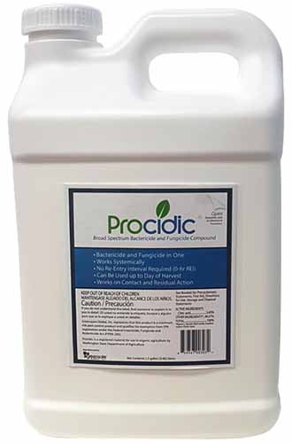 Gros plan d'une grande bouteille de biofongicide Procidic isolée sur fond blanc.