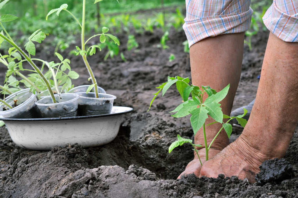 Quelle méthode de jardinage vous convient ?