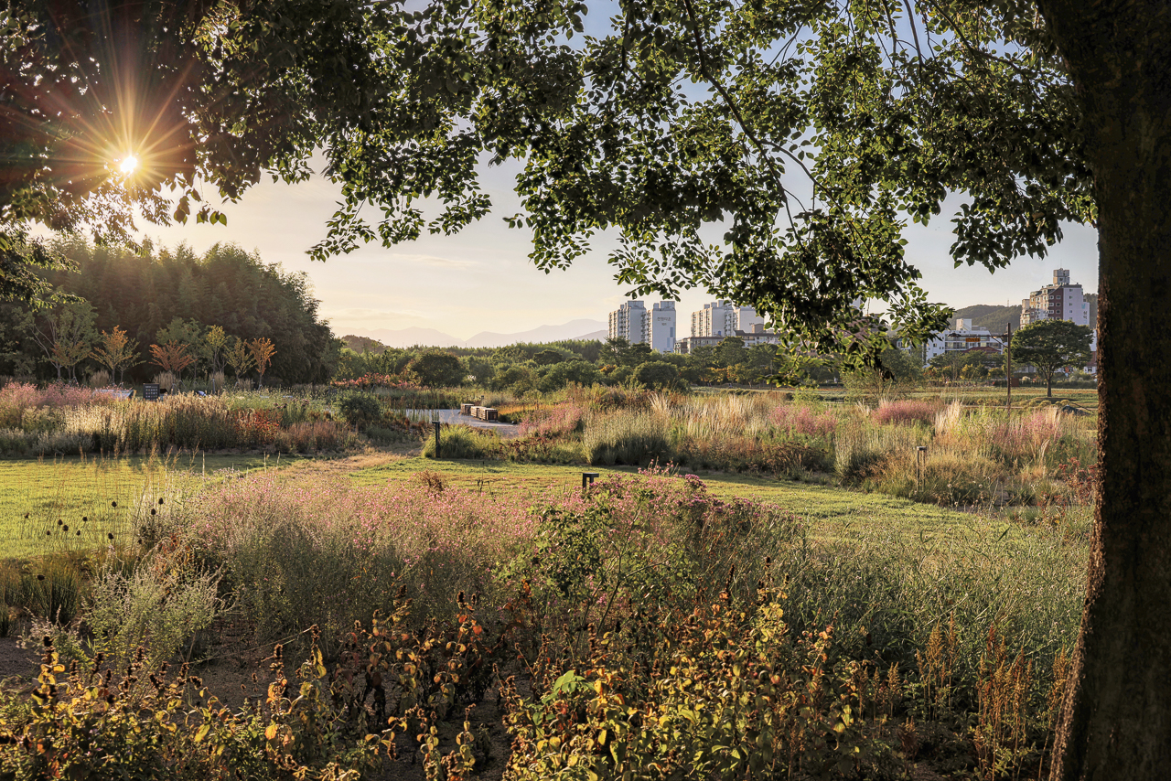 Le jardin de style naturaliste de Piet Oudolf en Corée du Sud