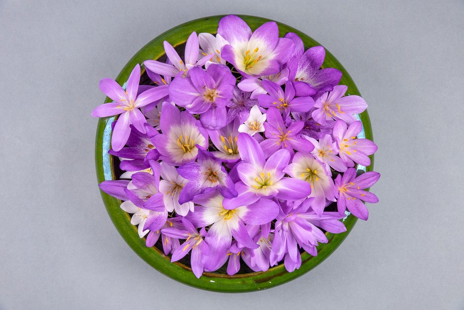 Arrangement avec des fleurs de Colchique