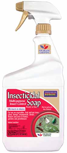 Un gros plan d'une bouteille de savon insecticide Bonide isolée sur un fond blanc.