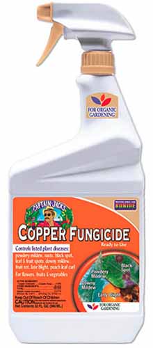 Un gros plan d'une bouteille de fongicide Bonide Copper isolée sur un fond blanc.