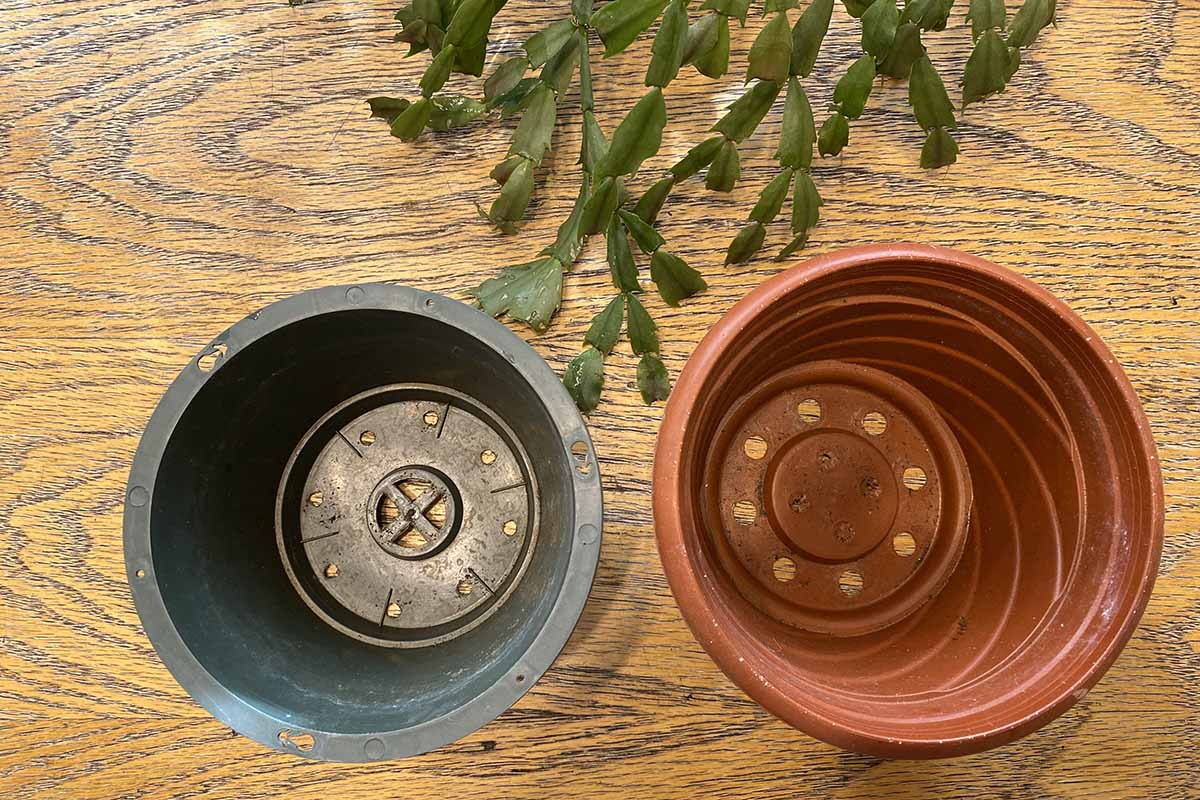 Une image horizontale descendante de deux pots posés sur une surface en bois.