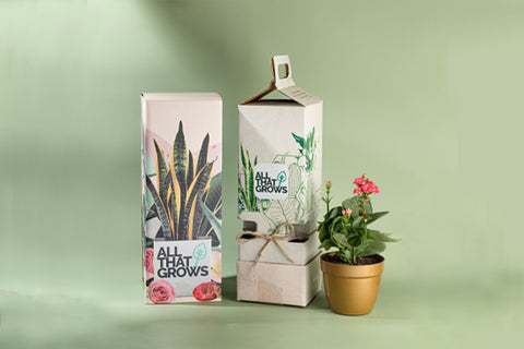 Offrir des plantes Kalanchoe avec AllThatGrows