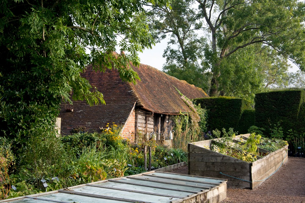 pépinière de plantes à Great Dixter