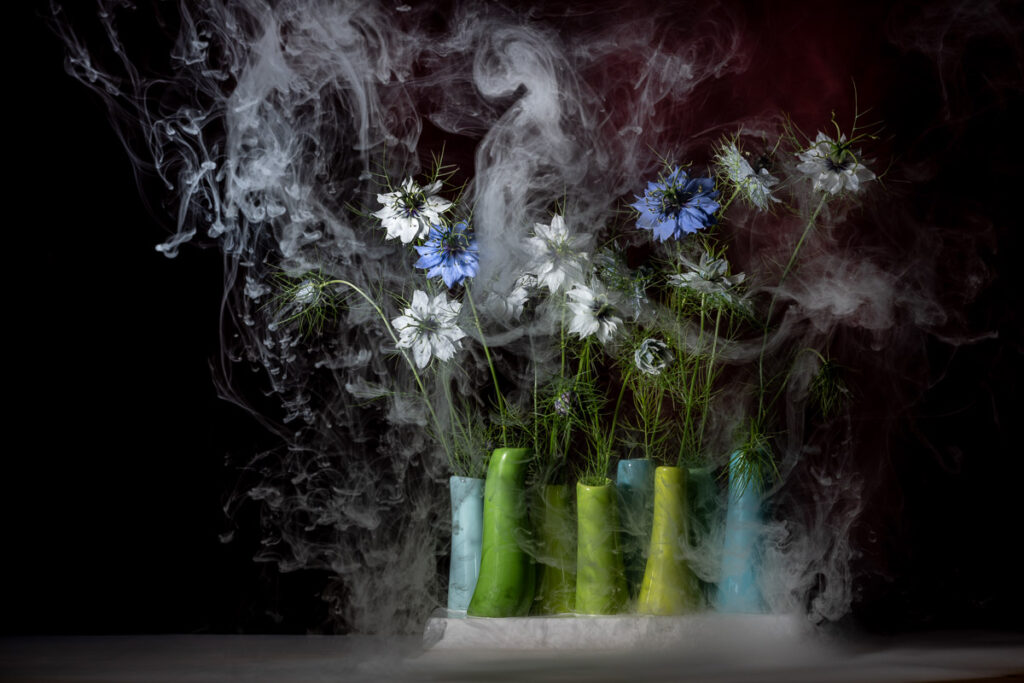 Photos natures mortes fleurs