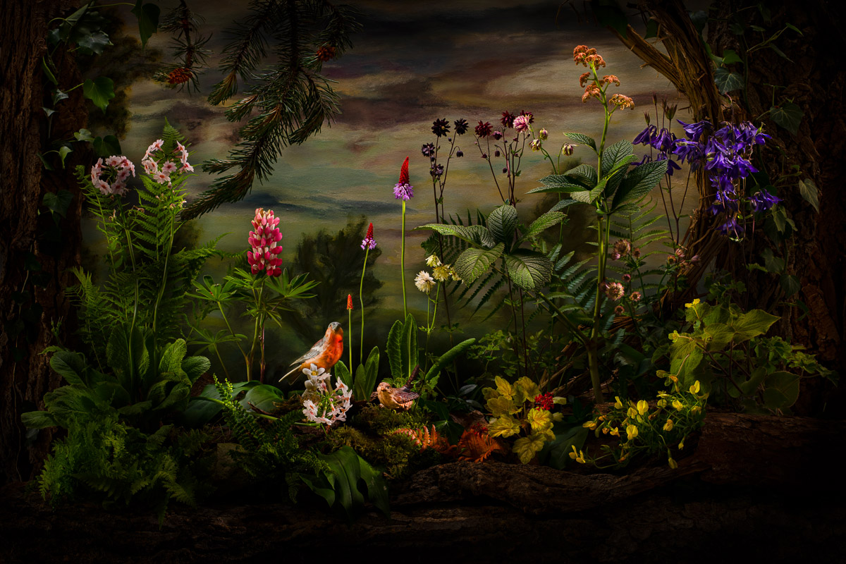 Photos de natures mortes de fleurs primées à IGPOTY 18 : Nature morte