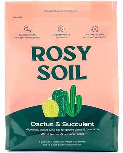 Un gros plan d'un sac de cactus rosé et de sol succulent isolé sur un fond blanc.
