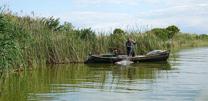 Pêche dans la zone humide de La Albufera à Valence Pêche dans la zone humide de La Albufera à Valence