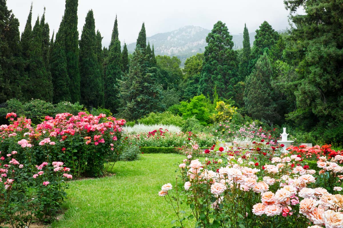 Une image horizontale d'un jardin avec une variété d'arbustes de roses différents flanquant une pelouse avec des arbres et une colline en arrière-plan.