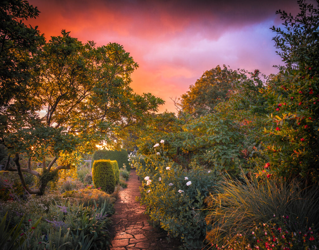 Photographies Igpoty Gardens 18
