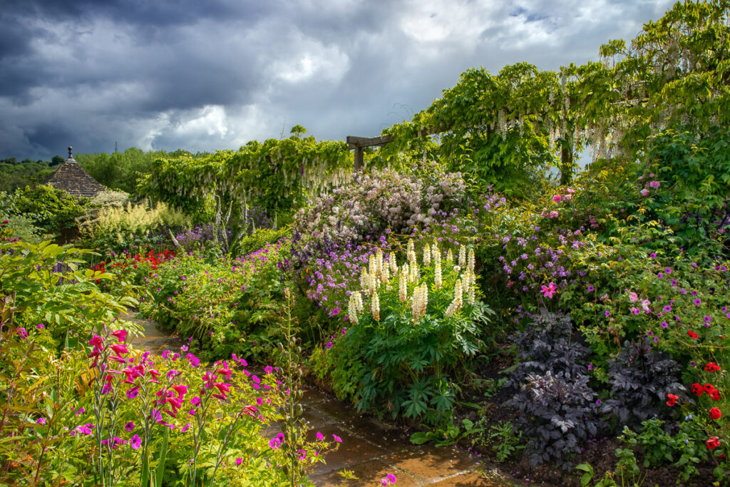 Photographies Igpoty Gardens 18