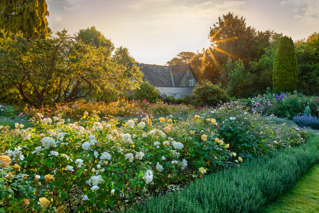 Photographies Igpoty Gardens 18