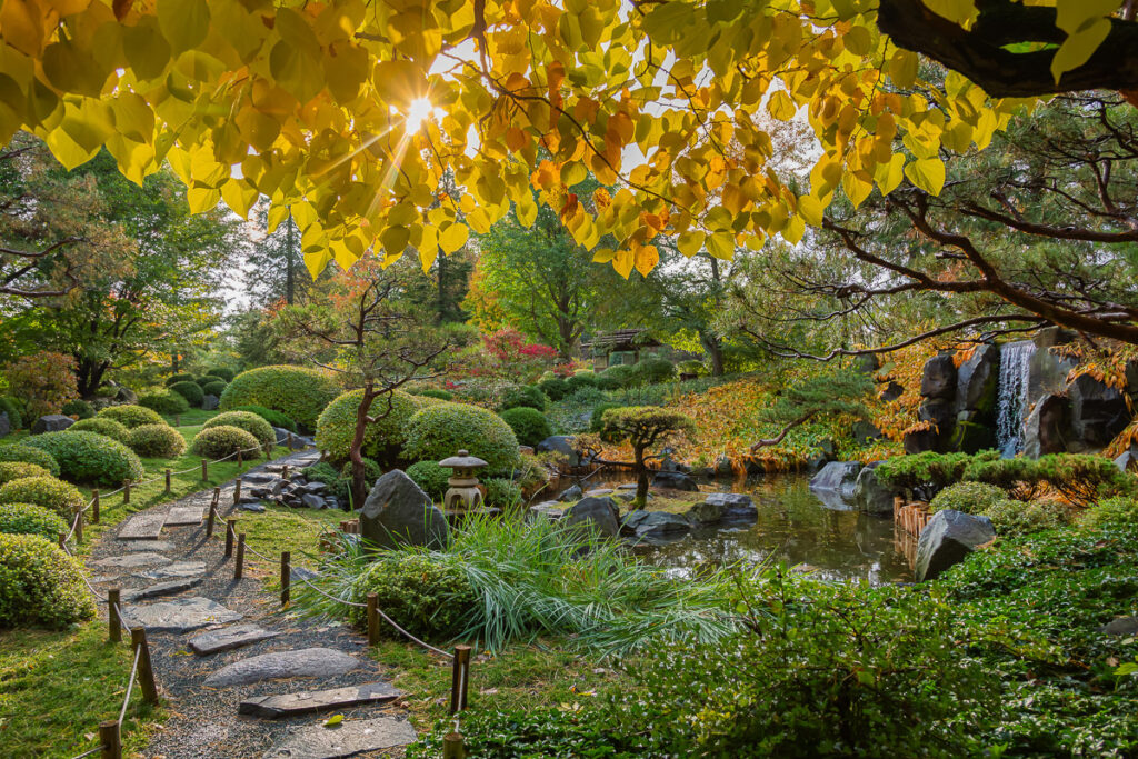 Photographies Igpoty Gardens 18