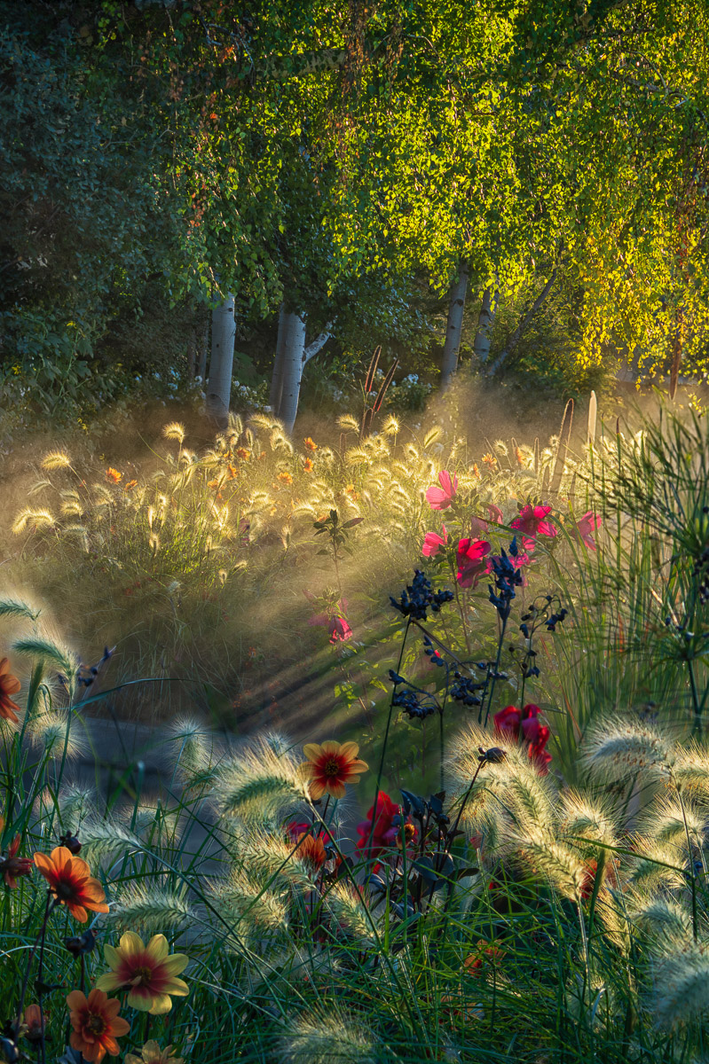 Fotografías jardines IGPOTY 18