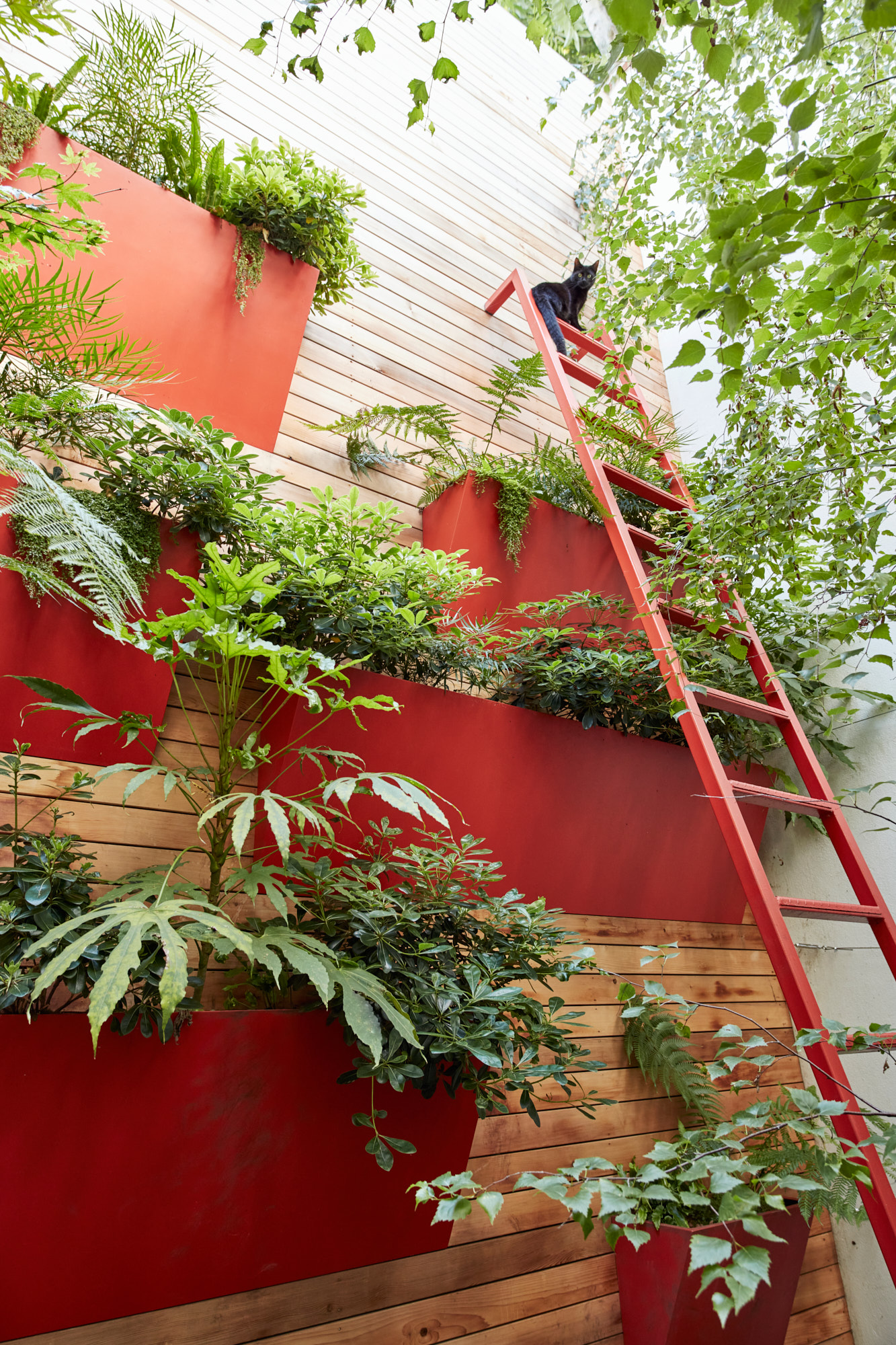 Espace à plusieurs niveaux de jardin urbain