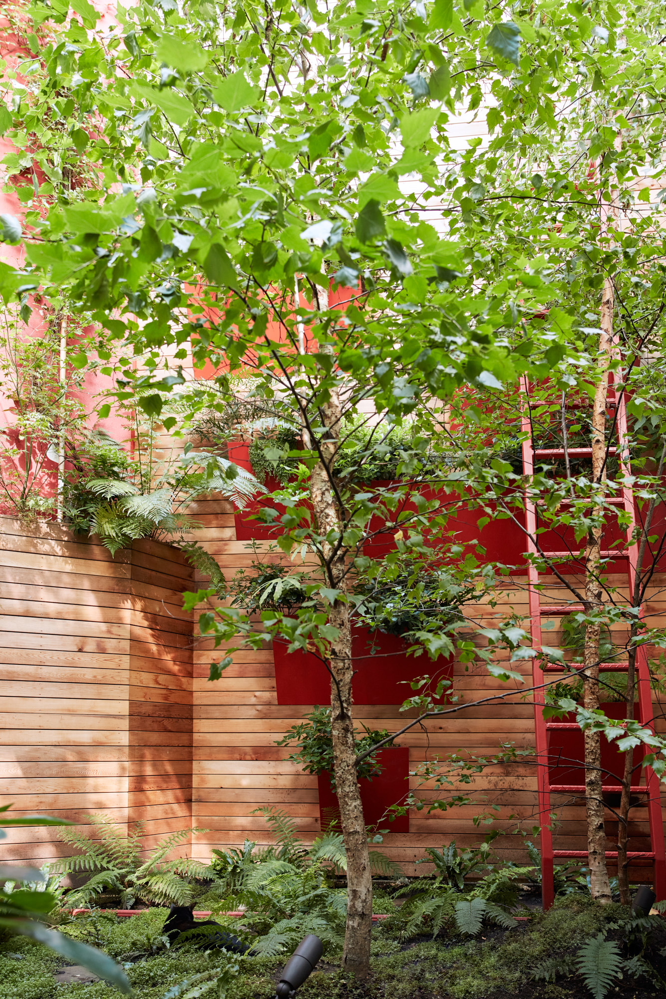 Espace à plusieurs niveaux de jardin urbain