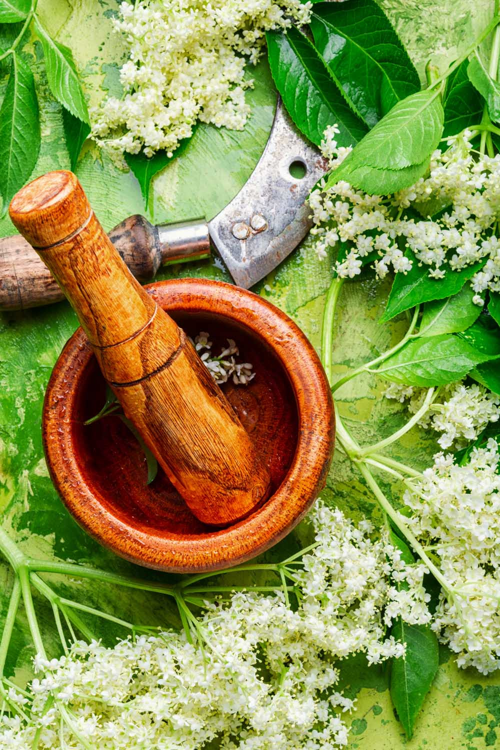 Vue oblique d'un mortier en bois et d'un pilon avec des fleurs de sureau fraîchement récoltées se préparant à faire une teinture.