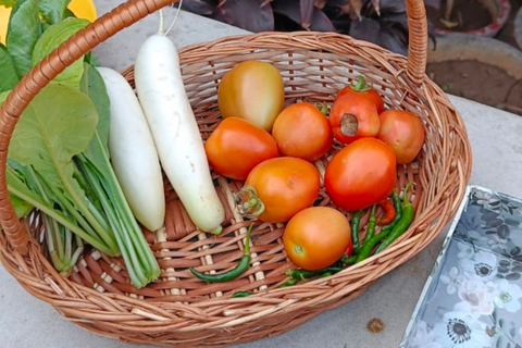 Y a-t-il de nouvelles plantes sur votre liste de souhaits?
