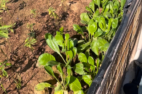 Des comptes Instagram particuliers que vous suivez pour l'inspiration?