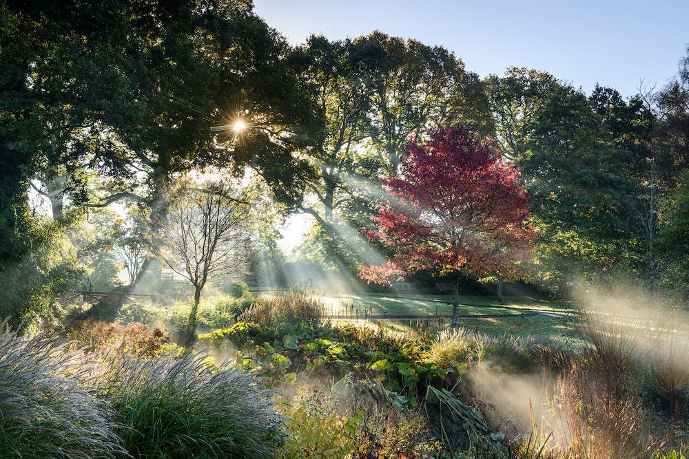 Comment photographier comment photographier les jardines selon Jason Ingram