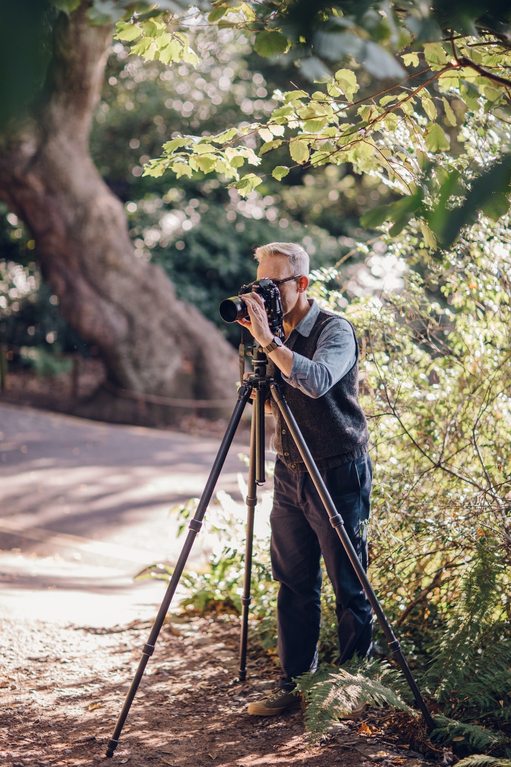 Comment photographier comment photographier les jardines selon Jason Ingram