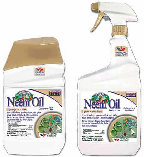 Un gros plan de deux bouteilles d'huile de neem bonide isolé sur fond blanc.