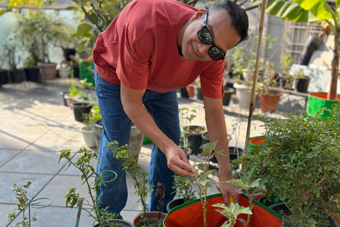 Quelles sont les plantes avec lesquelles vous n'avez pas eu autant de succès?