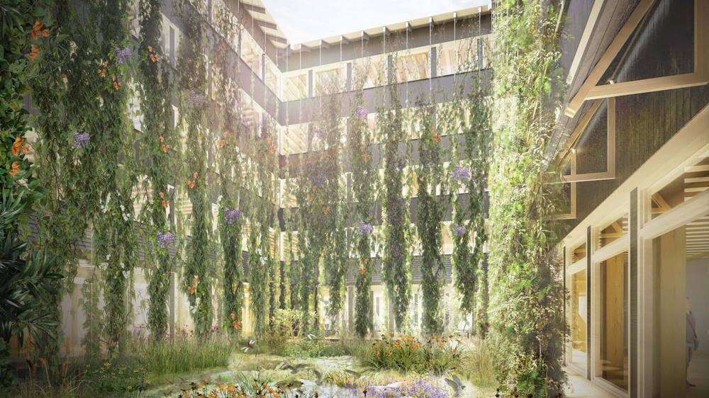 Végétation verticale dans le jardin conçu par Piet Oudolf dans la cour intérieure de Hortus