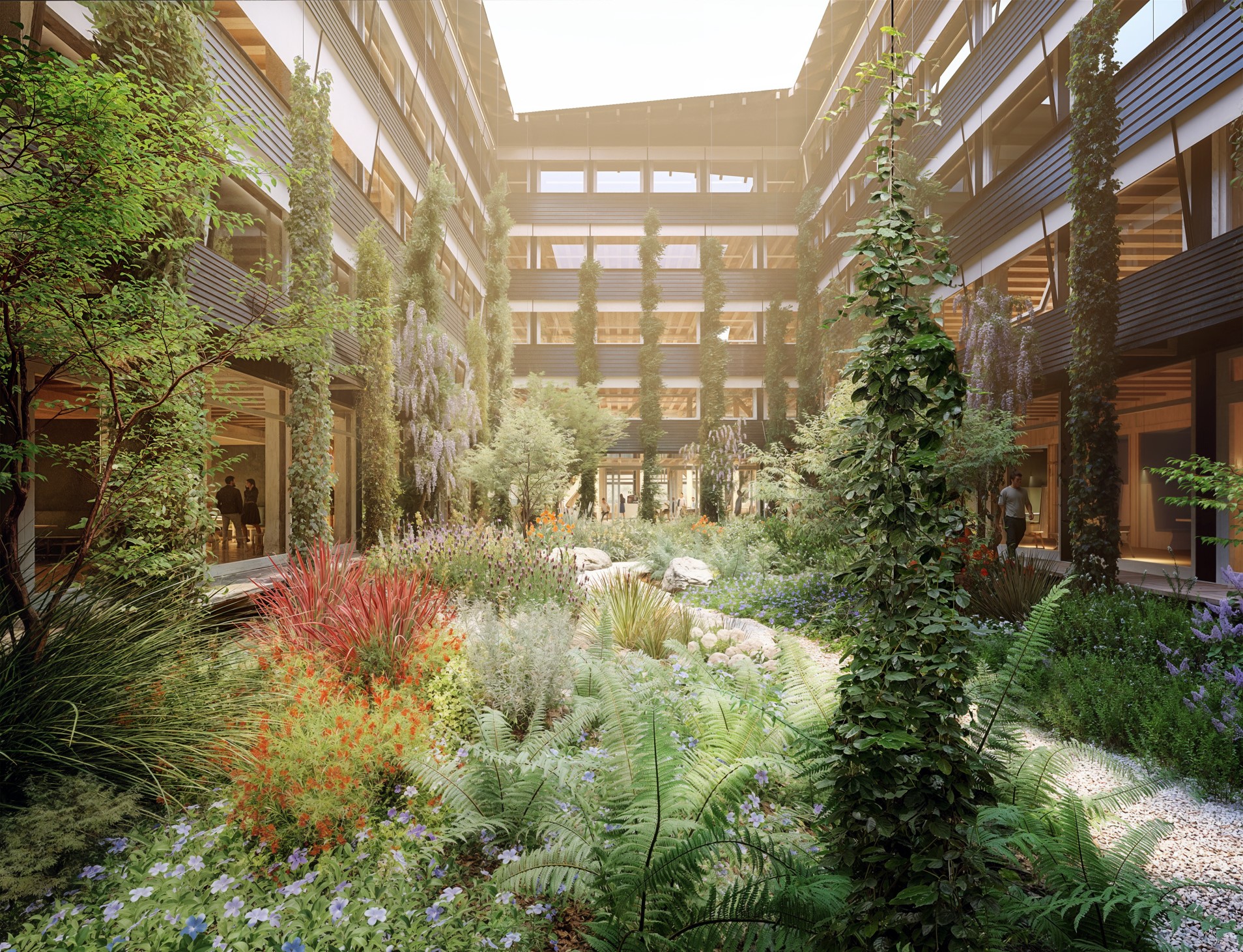 Ce sera le jardin conçu par Piet Oudolf dans la cour intérieure de Hortus, l'immeuble de bureaux le plus durable en Suisse