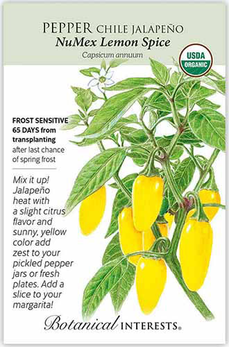 Un gros plan d'un paquet de graines de jalapeno «Numex Lemon Spice» avec du texte à gauche du cadre et une illustration dessinée à la main à droite.