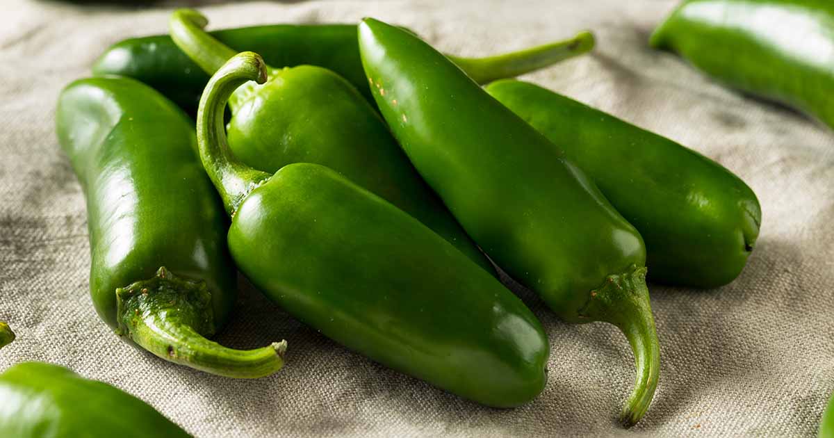 Comment faire pousser des poivrons jalapeno