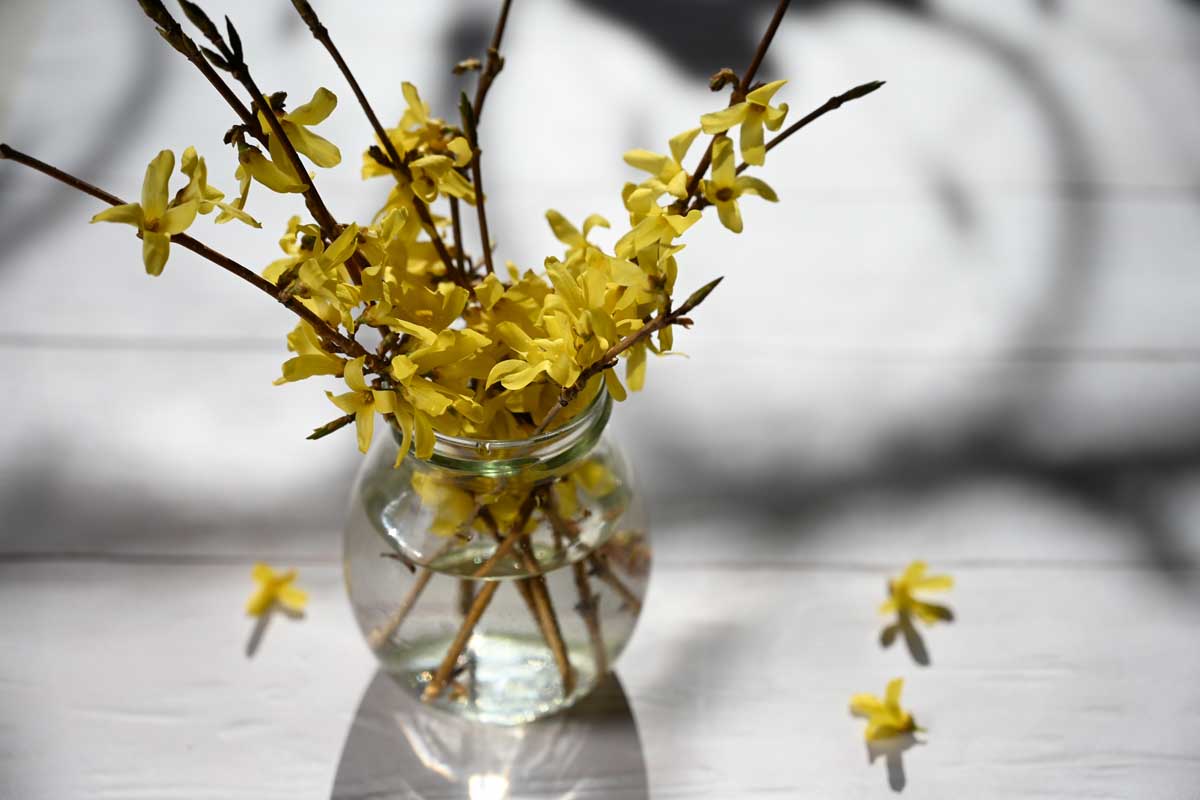 Une image horizontale rapprochée d'un petit vase en verre ET sur une table en bois avec des brins de fleurs jaunes illustrées sur un fond de mise au point doux.