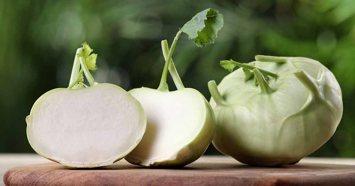 Combien de temps Kohlrabi reste-t-il? Conseils pour un stockage approprié