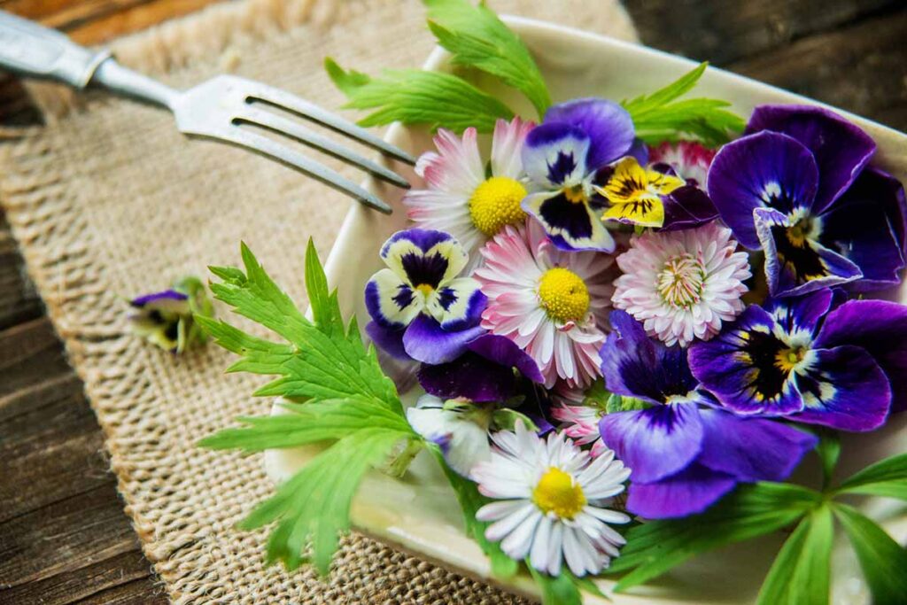 Une image horizontale rapprochée d'une assiette remplie de fleurs comestibles fraîchement récoltées placées sur une table en bois.