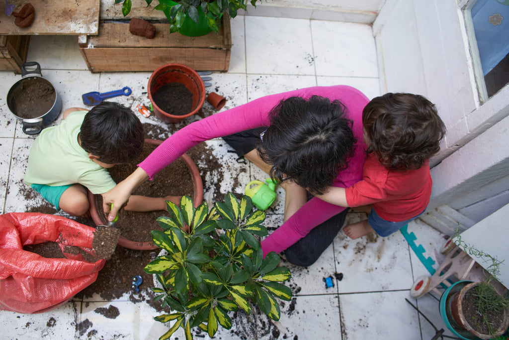 7 plantes que vous pouvez cultiver avec vos enfants à la maison