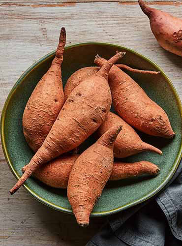 Un gros plan d'un bol de patates douces «vardaman» placées sur une surface en bois.