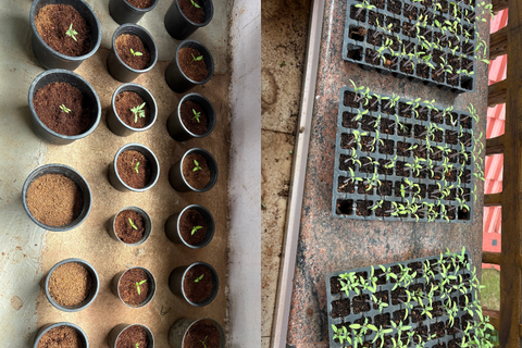 Qu'aimeriez-vous dire à nos nouveaux jardiniers?
