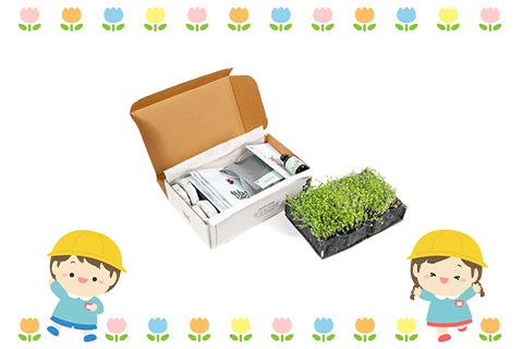Kit de culture de microganes complet