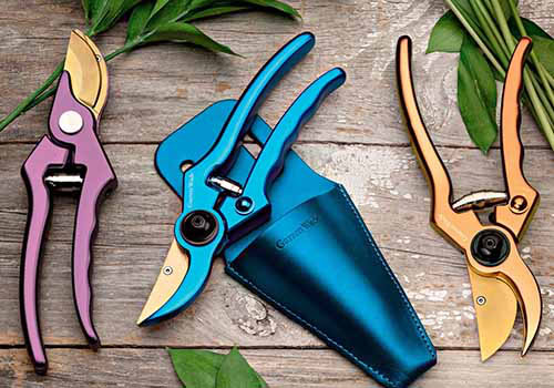 Un gros plan de trois paires de sécateurs en or, bleu et violet sur une surface en bois.
