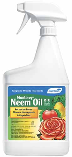 Un gros plan d'une bouteille d'huile monterey neem isolé sur fond blanc.