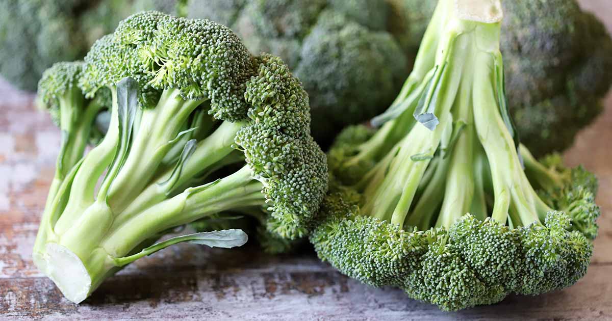 Comment faire pousser du brocoli dans des conteneurs
