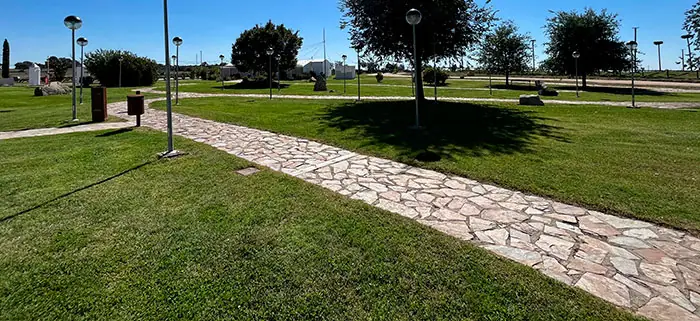 Jardin avec pelouse