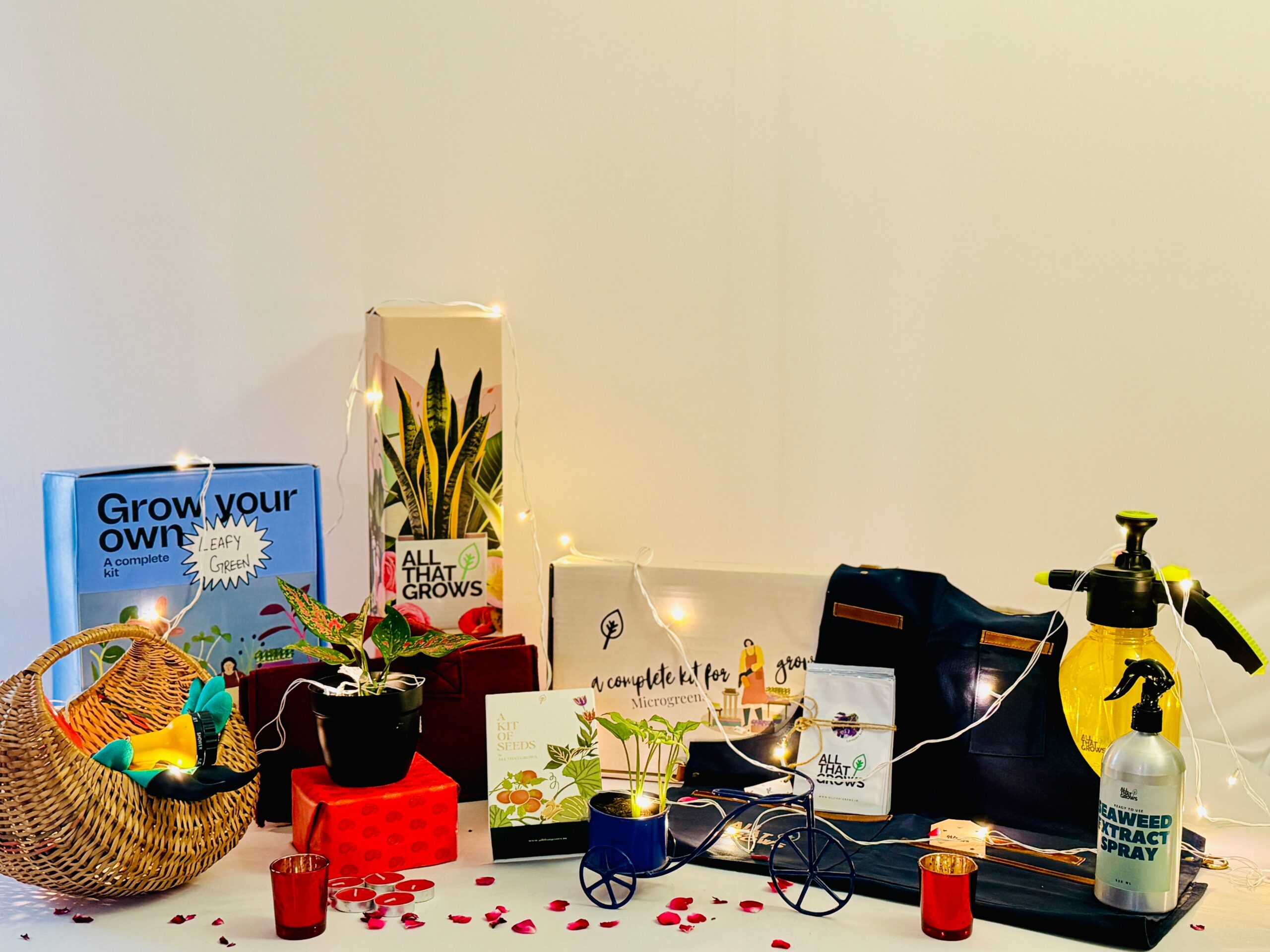 Idées de cadeaux de l'entreprise verte pour la saison des fêtes indiennes