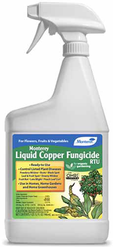 Un gros plan d'une bouteille de fongicide de cuivre Monterey isolé sur fond blanc.