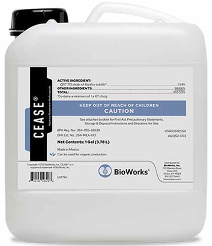 Un gros plan d'une cruche de cessez biofungicide isolé sur fond blanc.