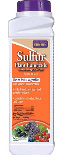 Une image verticale en gros plan de l'emballage du fongicide pour plantes Bonide Sulphur, illustrée sur un fond blanc.